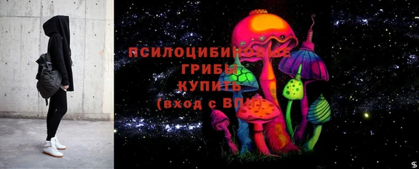 герыч Арсеньев