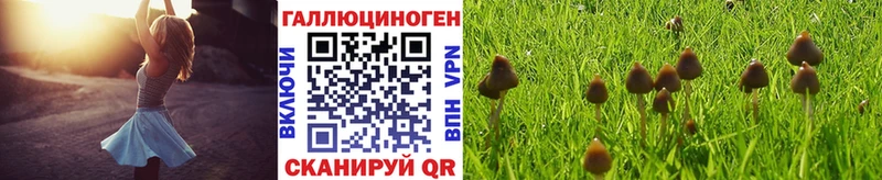 Галлюциногенные грибы мухоморы  Рассказово 