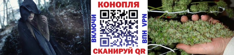 продажа наркотиков  Рассказово  Бошки марихуана марихуана 